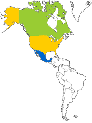 America